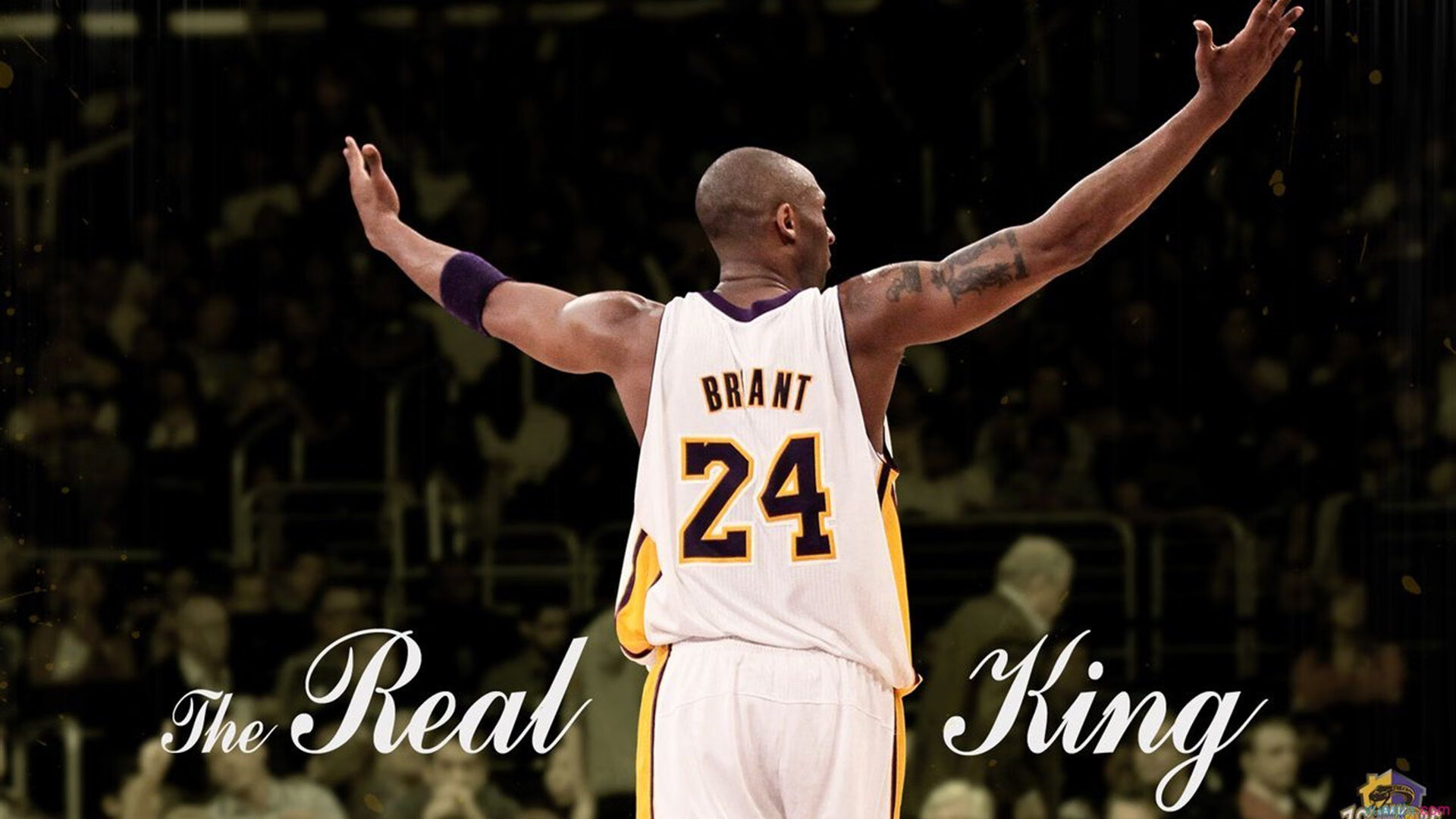 综合体育系“体育+科技”挑战周 包含智能穿戴对抗赛